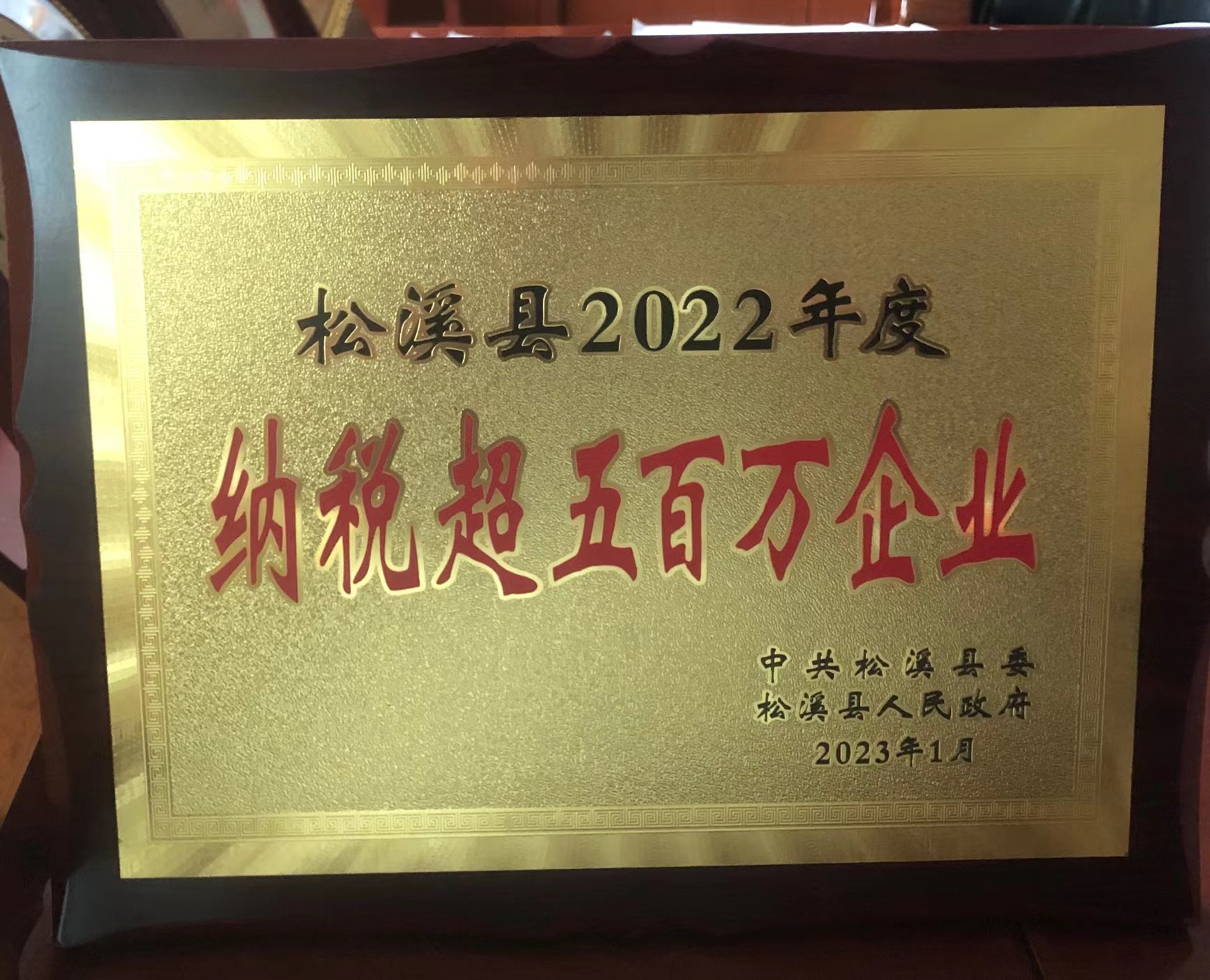 喜報(bào)！易順建工集團(tuán)喜獲“松溪縣2022年度納稅超五百萬(wàn)企業(yè)”榮譽(yù)